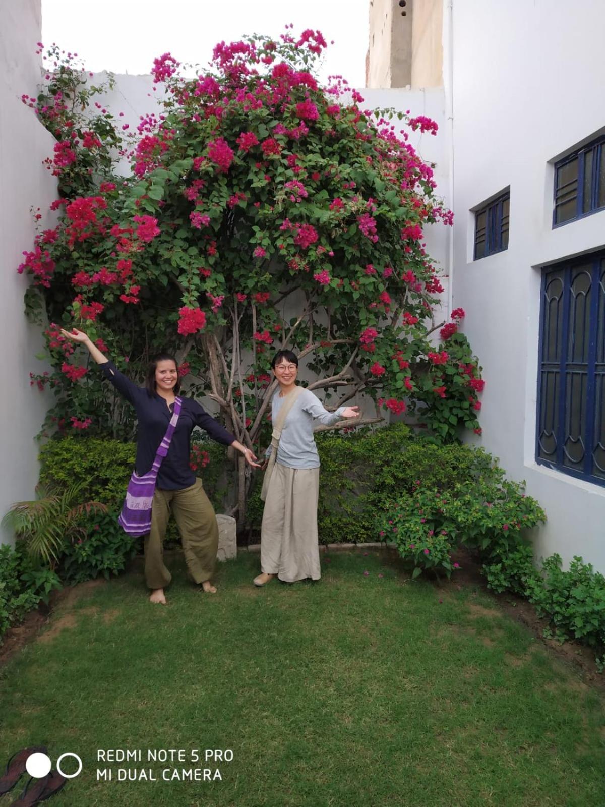 Rajguru Guest House Пушкар Экстерьер фото